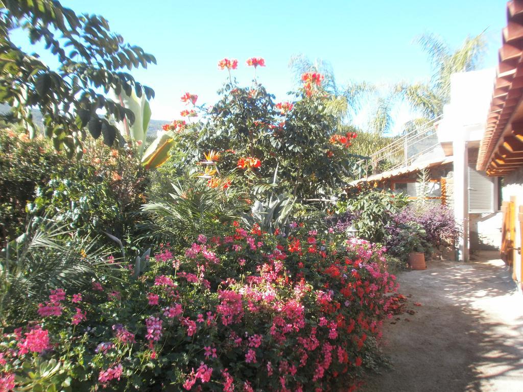 Finca Las Palmeras Icod De Los Vinos Cameră foto
