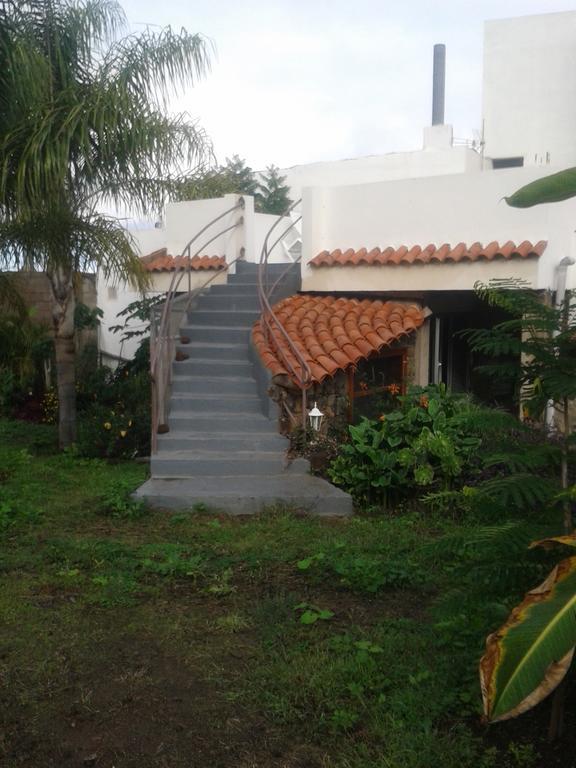 Finca Las Palmeras Icod De Los Vinos Cameră foto