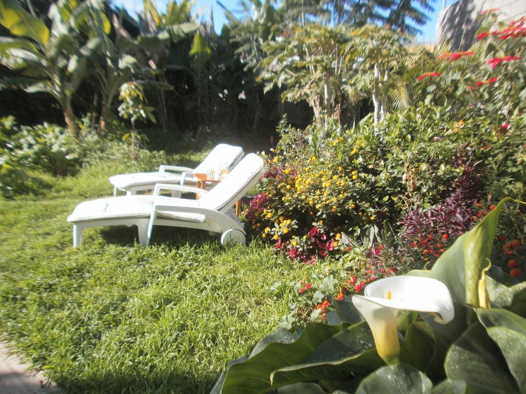 Finca Las Palmeras Icod De Los Vinos Cameră foto